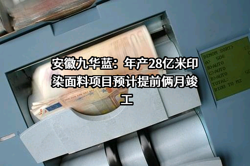 安徽九华蓝实业发展有限公司