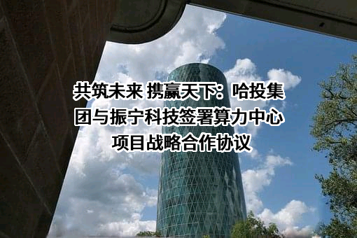 黑龙江振宁科技股份有限公司