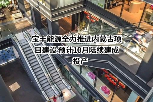 宁夏宝丰能源集团股份有限公司