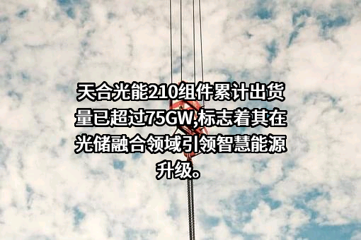天合光能股份有限公司