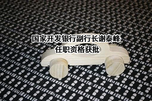 国家开发银行