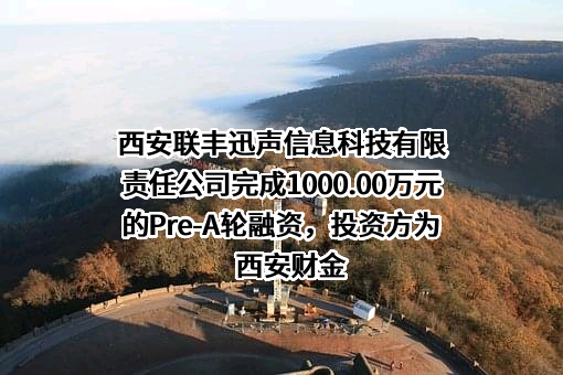 西安联丰迅声信息科技有限责任公司