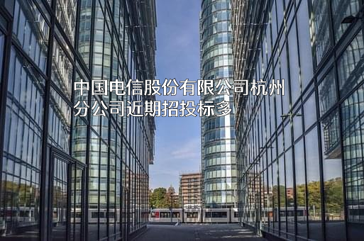 中国电信股份有限公司杭州分公司