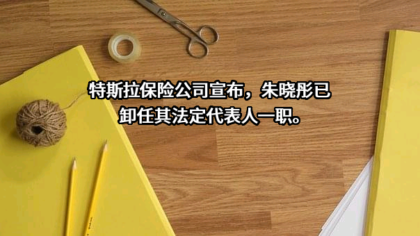 特斯拉保险经纪有限公司
