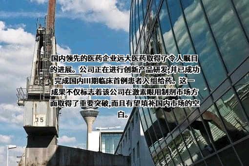 远大医药健康控股有限公司