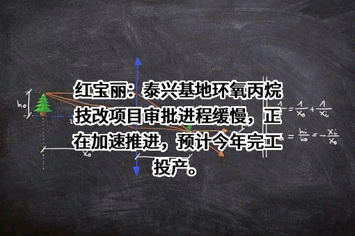 红宝丽集团股份有限公司