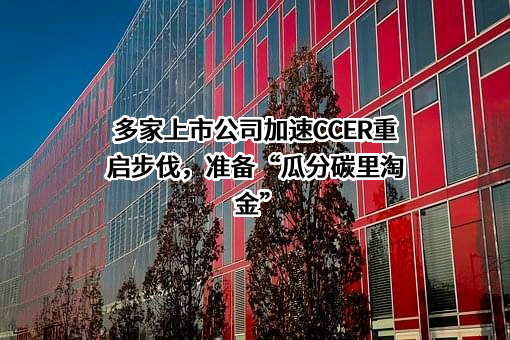岳阳林纸股份有限公司