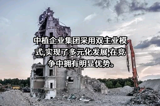 中植企业集团