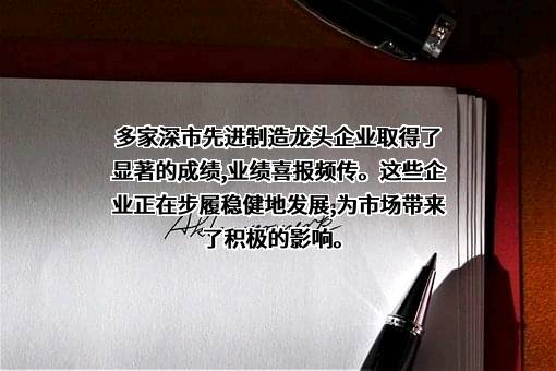中伟新材料股份有限公司
