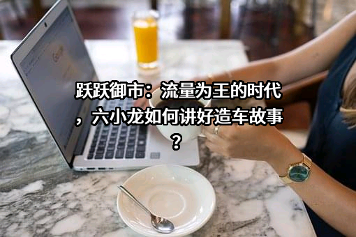 九江市六小龙实业股份有限公司