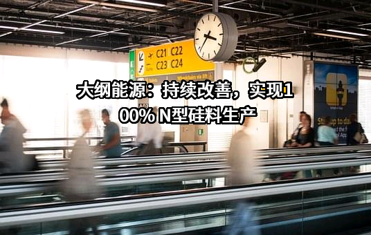 新疆大全新能源股份有限公司