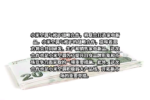 广州松下空调器有限公司