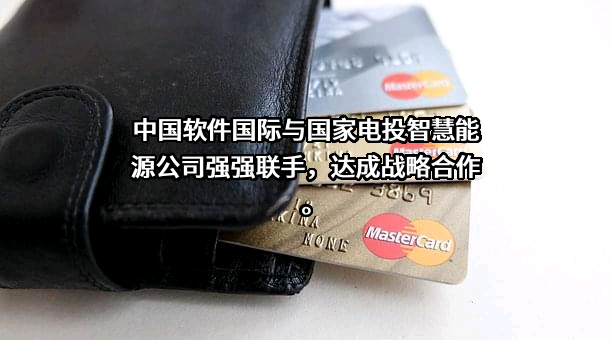 中软国际股份有限公司