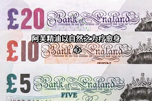 梦想城堡(天津)电子商务有限公司