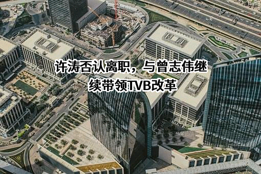 电视广播有限公司