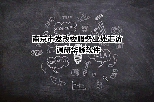 南京华脉软件技术有限公司