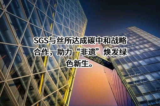 上海丝所文化科技有限公司