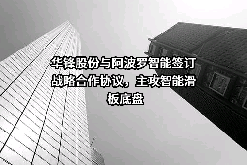 广东华锋新能源科技股份有限公司