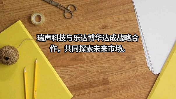 瑞声科技控股股份有限公司