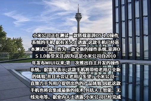 小米科技有限责任公司