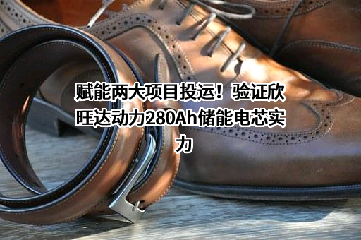 欣旺达电子股份有限公司