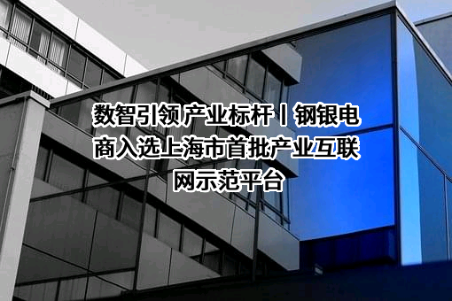 上海钢银电子商务股份有限公司