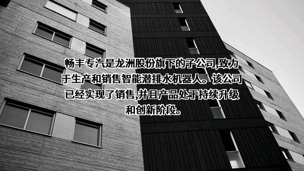 龙洲集团股份有限公司