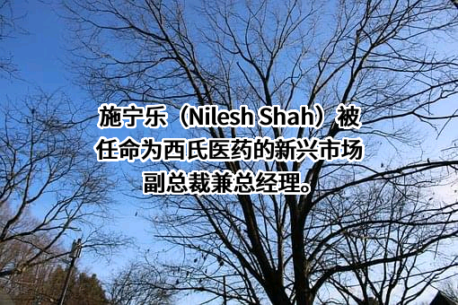西氏医药包装（中国）有限公司
