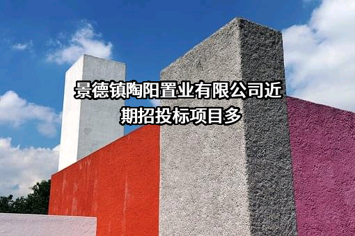 景德镇陶阳置业有限公司