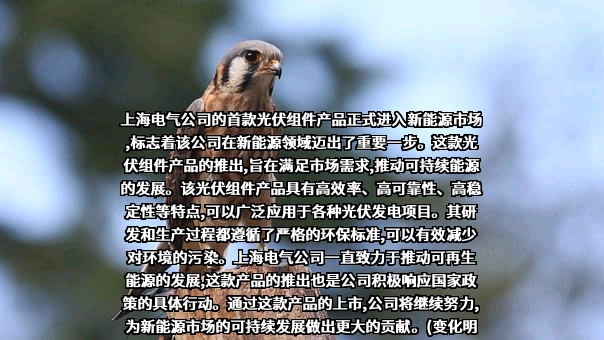上海电气集团恒羲光伏科技（南通）有限公司