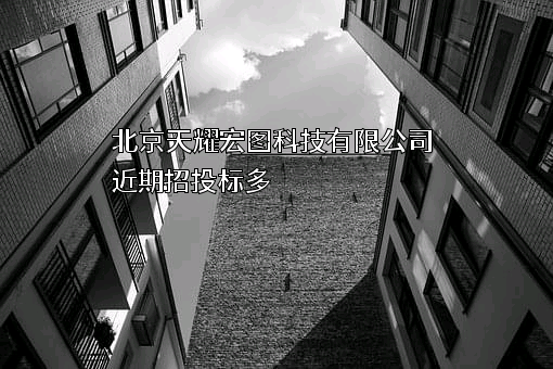 北京天耀宏图科技有限公司