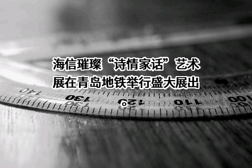 海信集团有限公司