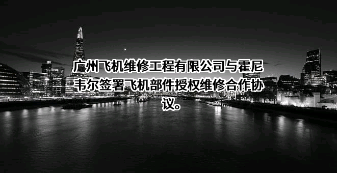 广州飞机维修工程有限公司