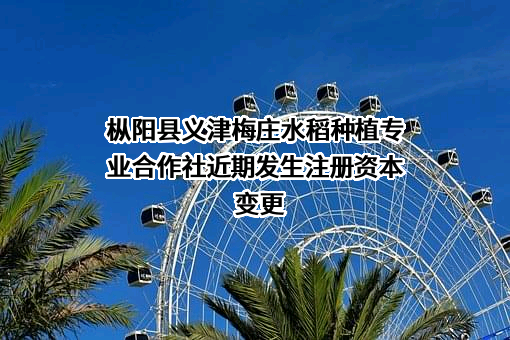 枞阳县义津梅庄水稻种植专业合作社