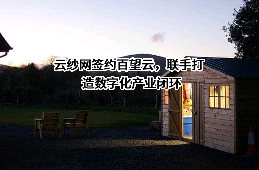 百望股份有限公司