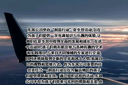 深圳东风汽车有限公司