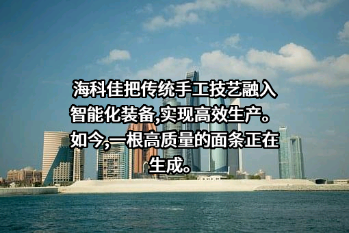 青岛海科佳智能科技股份有限公司