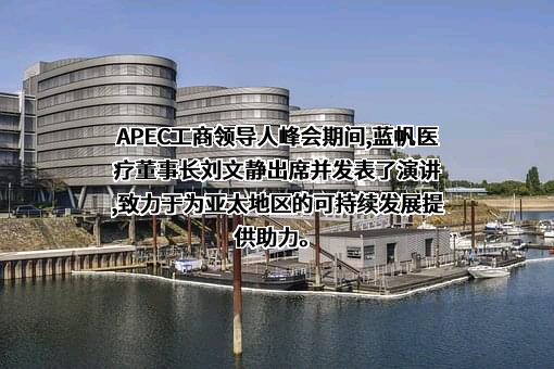 蓝帆医疗股份有限公司