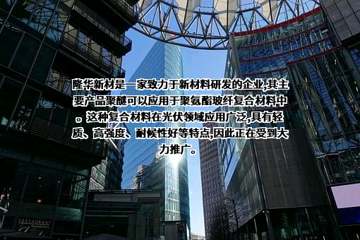 山东隆华新材料股份有限公司