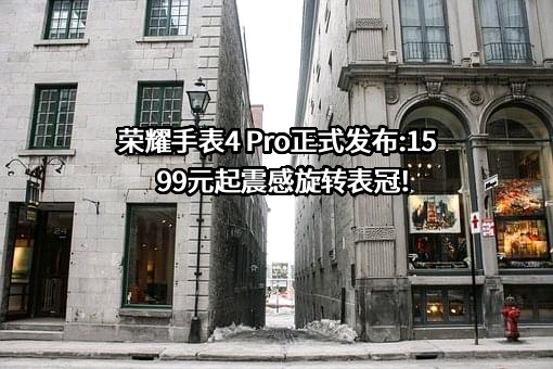 荣耀终端有限公司