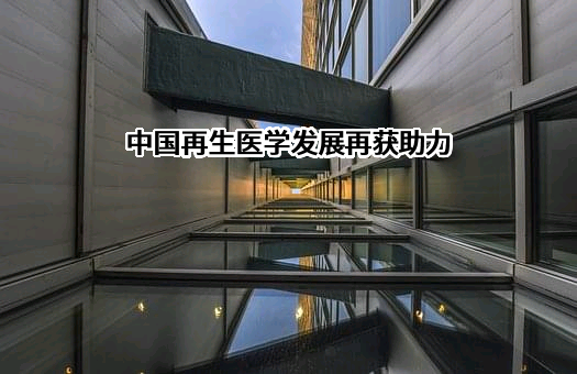 国药凯丽康（上海）实业发展有限公司