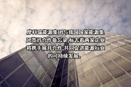 国家能源投资集团有限责任公司