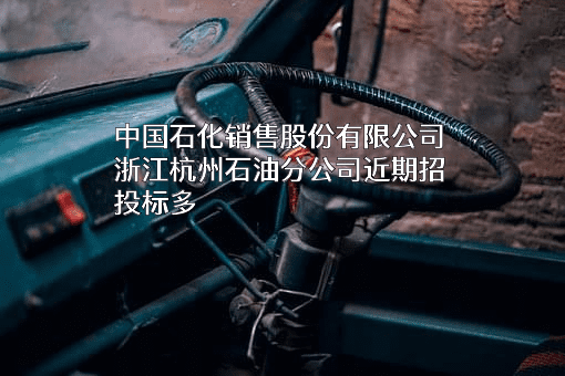 中国石化销售股份有限公司浙江杭州石油分公司