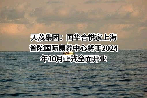 国华人寿保险股份有限公司