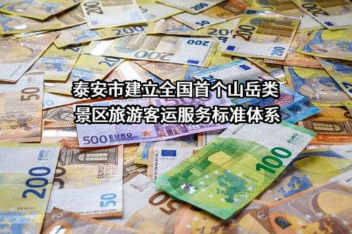 泰安市泰山景区客运有限公司