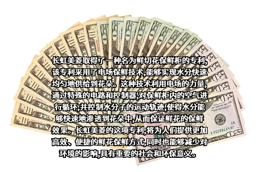 长虹美菱股份有限公司