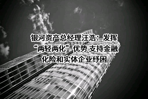 宜昌市银河资产经营管理公司