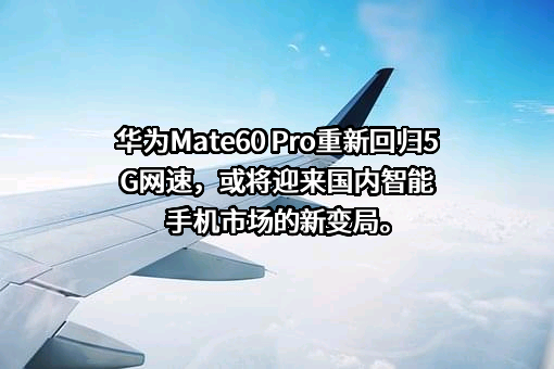 华为技术有限公司