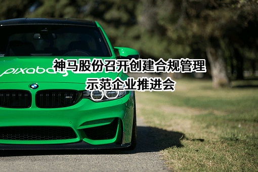 神马实业股份有限公司