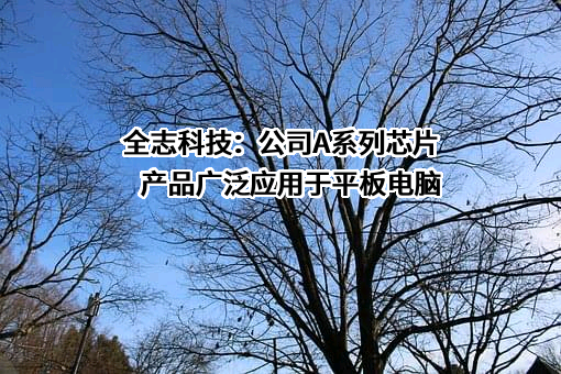 珠海全志科技股份有限公司